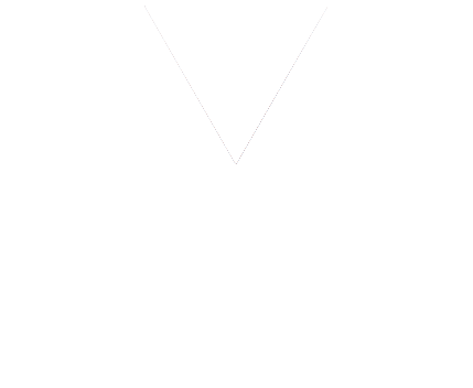 Vue.js Development